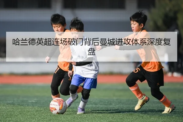 img_1788752849881_1_0_468.jpg